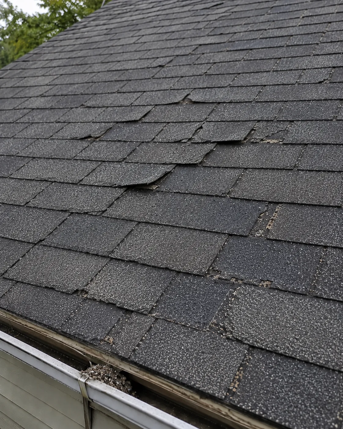 An asphalt roof with shingles lifting, curling at the edges and missing in patches
